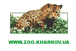  den Charkowzoo den Staatlichen Zoo in Charkow. Die Kultur und die Kunst  