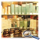 ������������ ����������� � �������� ��������� Chanel � Shiseido