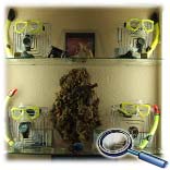 ��������� ���������� Beuchat, Bare, Crassi-sub, Zeagle, Suunto, Omer, �������, ��������. � ������ ������.
