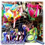 ����������, ������� �����