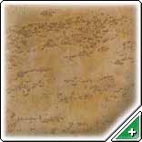 "������������ ����������", ���� 45 ��� \ �2