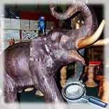 ������� �� ������. �������� ���������. ������.