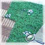 ���������� ���������. 