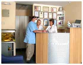 VITAL. ����������������� �������. ��� ���� ����������������� ������