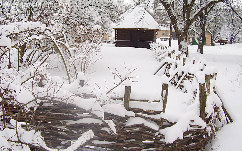 ������������ ����������� - ������������ ����� ����� �������� ������� ��������� | �������, ���������� �������, ��� �������, ����� ������ 45 | �������: 8 (05340) 51-4-73, �-mail: museum_skovoroda@mail.ru