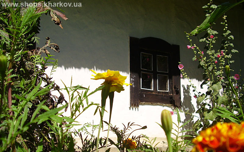 ������������ ����������� - ������������ ����� ����� �������� ������� ��������� | �������, ���������� �������, ��� �������, ����� ������ 45 | �������: 8 (05340) 51-4-73, �-mail: museum_skovoroda@mail.ru